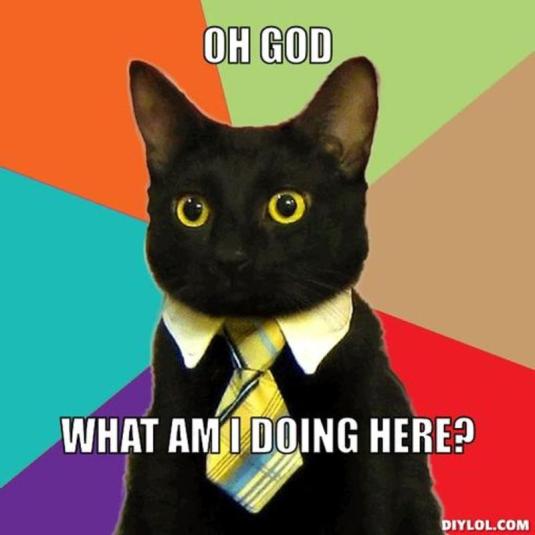 resized_business-cat-meme-generator-oh-god-what-am-i-doing-here-0ddc9a